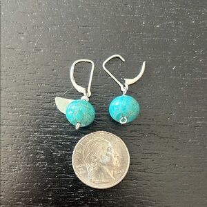 Turquoise Dangle Earrings